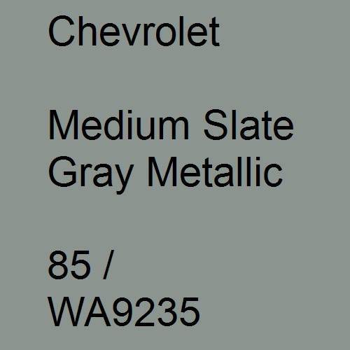 Chevrolet, Medium Slate Gray Metallic, 85 / WA9235.